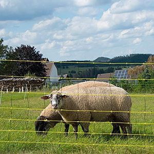 horizont schapennet - horinetz - elektronisch net geel, zwart, hoogte 90cm, lengte 50m, dubbele spike, 14 palen, schapenafrastering, weideafrastering, elektrische afrastering, geitenafrastering - perfect voor de bescherming van uw schapen