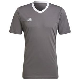adidas Entrada22 Voetbal T-shirt voor heren, Team Grijs vier., 3XL