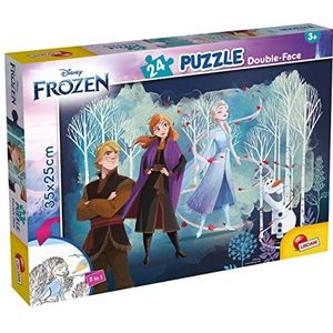 Lisciani Disney puzzel DF M-Plus 24 Frozen 99481