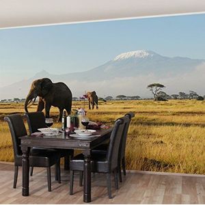 Apalis 94907 vliesbehang - olifanten voor de Kilimanjaro in Kenya - fotobehang breed, vliesfotobehang wandbehang HxB: 255 x 384 cm multicolor