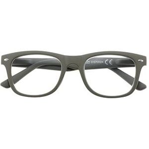 Leesbril Arkansas Grijs +3,50