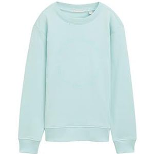TOM TAILOR Jongens 1046030 sweatshirt, 34436 - Light Pastel Turquoise, 176 EU, 34436 - Light Pastel Turquoise, 176