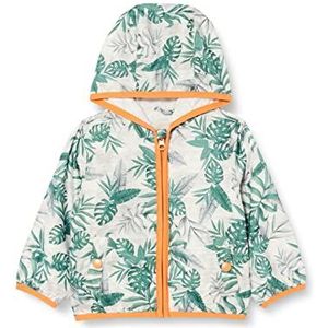 Chicco, Jas voor kinderen, jongens, 9 maanden, Veelkleurig III (735)