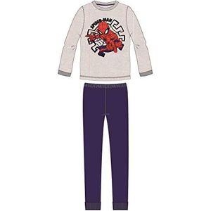 Artesania Jongens Pijama Largo Single Jersey Spiderman tweedelige pyjama, grijs (Gris C13), One Size (Fabrikant maat:03 Jaar)