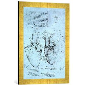 Ingelijste afbeelding van Leonardo naar da Vinci The Heart, Facsimile of The Windsor Book, kunstdruk in hoogwaardige handgemaakte fotolijst, 40 x 60 cm, Gold Raya