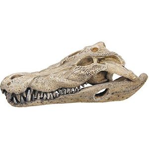 Nobby Aqua Ornaments krokodil schedel, 26 x 14 x 9 cm, 1 stuk