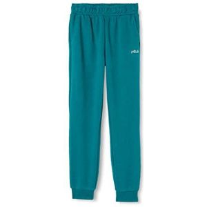 FILA Unisex kinderen SEESEN Sweat vrijetijdsbroek, Alexandrite, 170/176, Alexandriet