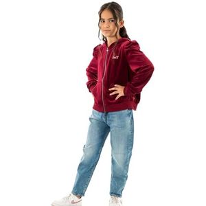 Levi's Meisjes Lvg Meet and Greet Velour Hood 4ej171 Hoodie, Rododendron Levis, 14 jaar