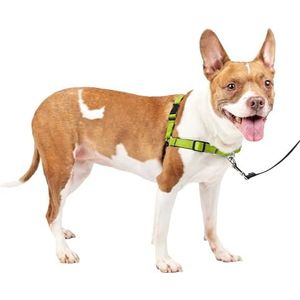 PetSafe® Deluxe Easy Walk® Hondenharnas, anti-trek, stoppen, geweldig om te wandelen en te trainen, comfortabele voering, voor middelgrote honden, appel, medium