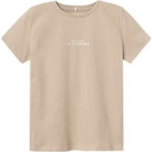 NAME IT Nkmtemanno Ss Top T-shirt voor jongens, Pure kasjmier, 146/152 cm