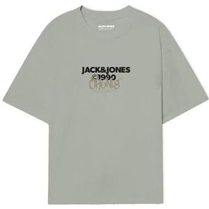 JACK & JONES Heren Jorbushwick Tee Ss Crew Neck FST T-shirt, mineraal grijs, L, Mineraalgrijs, L