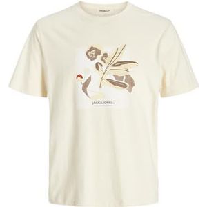 JACK & JONES Joralmeria Front Tee Ss Crew Neck voor heren, antiek wit., S