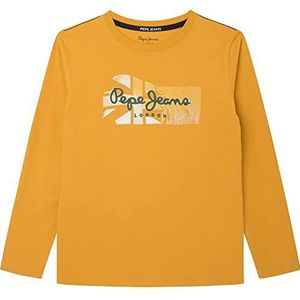 Pepe Jeans Ramiro T-shirt voor jongens, 097oker Geel, 18 Jaren