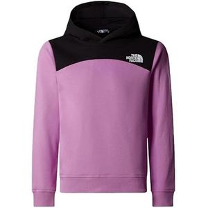THE NORTH FACE Uniseks kinderen Back Logo Relaxed P/O capuchontrui