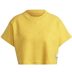 adidas Dames T-shirt (korte mouw) W LNG Lw Ft Tee, Bold Gold, HZ1608, 2XL