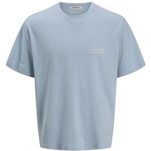 JACK & JONES Heren Joracapulco Type Tee Ss Crew Neck, skyway, M