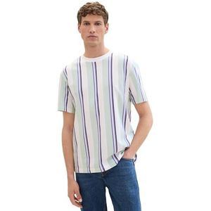 TOM TAILOR Denim Heren T-shirt, 35617 - Mint White Blue Mix Stripe, XL