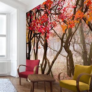 Apalis Bosbehang vliesbehang Japan in de herfst fotobehang vierkant | vliesbehang wandbehang muurschildering foto 3D fotobehang voor slaapkamer woonkamer keuken | grootte: 336x336 cm, bruin, 97761