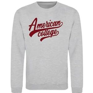 AMERICAN COLLEGE USA Sweatshirt met print, warme kleding, uniseks, kinderen, jongens en meisjes, casual, model ACSCRW1 MELL Grey 16 jaar, Grijs, 16 ans