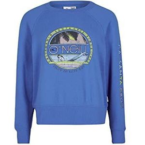 O'NEILL Cult Shift Crew 15045 Princess Blue, standaard voor dames, 15045 Princess Blue