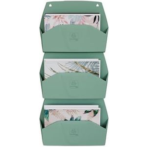 Exacompta - Art. 61180D - Doos met 3 horizontale wandsorteerders 3 AUTENTIK vakken, A4 wanddisplays, aktetas, wandmanden - Afmetingen: D 43,6 x B 39,6 x H 10,2 cm - Saliegroen