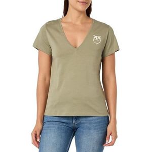 Pinko Turbato T-shirt met opdruk 'Old Wash', U84_Groen Vertiver, XXS