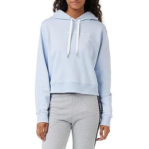 Tommy Hilfiger REG Frosted Corp Logo Hoodie Trui, Breezy Blue, 3XL, Blauw