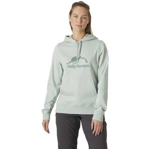 Helly Hansen W Nord Graphic Pullover Hoodie Hooded Sweatshirt voor dames, 462 Groene Mist, XS