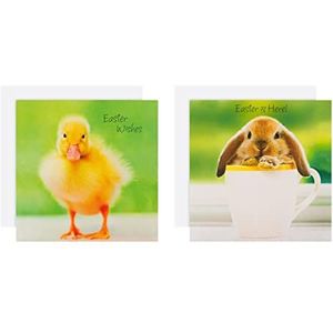 Hallmark Liefdadigheid Paaskaartenpakket - 10 kaarten in 2 schattige dierenfotoontwerpen