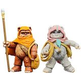 Star Wars The Vintage Collection Wicket W. Warrick & Kneesaa, Star Wars: Ewoks Collectible 9,5 cm actiefiguren 2-pack