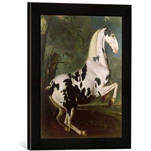 Ingelijste foto van Johann Georg Hamilton ""The Piesnel Stallion at the Eisgruber Stud"", kunstdruk in hoogwaardige handgemaakte fotolijst, 30x40 cm, mat zwart