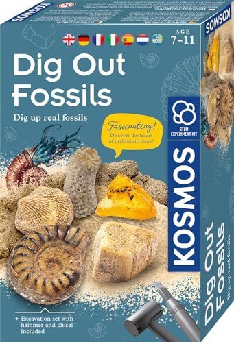 MBE Dig Out Fossils INT: Experimentierkasten