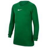 Nike Uniseks-Kind Top Met Lange Mouwen Y Nk Df Park 1Stlyr Jsy Ls, Pine Green/White, AV2611-302, L