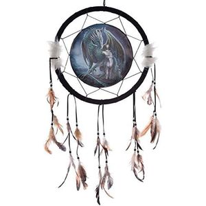 Dromenvanger draak 33cm Lisa Parker - Protector of magick dragon