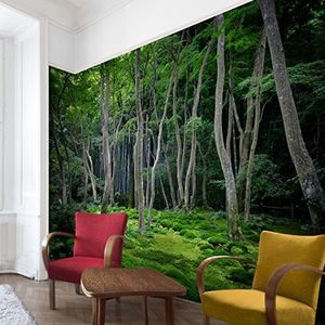 Apalis Bosbehang vliesbehang Japans fotobehang breed | vlies behang wandbehang foto 3D fotobehang voor slaapkamer woonkamer keuken | groen, 94680