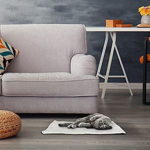 Funhobby Italia Srl AQPET Billy Elektrische deken voor honden, katten, huis, thermo-tapijt, afdekking (90 x 60 cm, wit)
