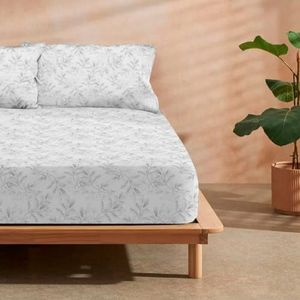 Hoeslakens - Katoen - Grijs