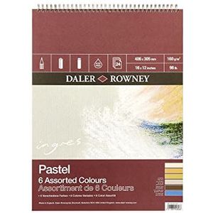 Daler-Rowney Ingres 16gsm 16 x 30,5 cm Pastel papier Spiraalvormige Pad, gelegde textuur, 6 verschillende kleuren, 24 vellen, ideaal voor professionele artiesten