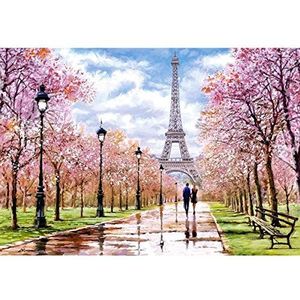 Castorland C-104369-2 Romantic Walk in Parijs Puzzel met 1000 stukjes, kleurrijk