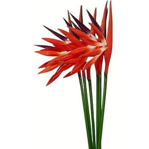 Rikyo Kunstbloemen, 6 stuks, paradijsvogel, 58,4 cm, permanente bloem, Strelitzia tropische imitatieplant, bloemboeketten voor kantoor, thuis, feestdecoraties, arrangement potplanten (oranje)