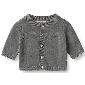 Wheat Gebreid vest voor babyjongens, 1525 Autumn Sky, 68 cm