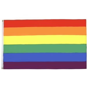 Regenboogvlag 150 x 90 cm - Gay vlag - Regenboogvlag 90 x 150 cm Lichtgewicht Polyester - AZ FLAG