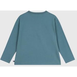 Petit Bateau T-shirt met lange mouwen van bedrukt katoen, Goblin, 10 Jaar