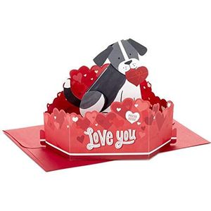 Hallmark Paper Wonder pop-up verjaardagskaart met geluid en beweging (hond) voor romantische verjaardag, Moederdag, Vaderdag, liefde, Valentijnsdag