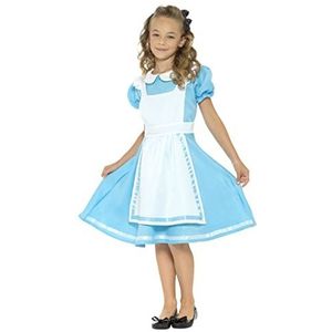 Wonderland Princess Costume (L)
