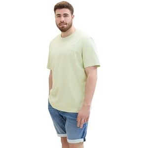 TOM TAILOR Heren T-shirt, 35169 - Tender Sea Green, 5XL