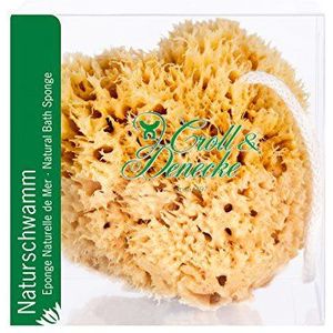 CROLL & DENECKE M400 natuurlijke spons uit de Middellandse Zee in geschenkdoos met katoenen koord, 11 x 11 cm