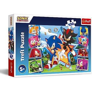 Trefl - Sonic The Hedgehog, Maak kennis met Sonic - Puzzel met 100 Stukjes - Kleurrijke Puzzel met Helden uit het Sonic Spel, Creatieve Ontspanning, Plezier voor Kinderen vanaf 5 jaar