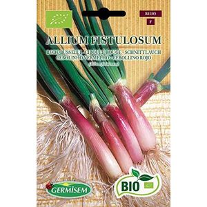 Germisem Organisch Allium Fistulosum Rode Bieslook Zaden 2 g