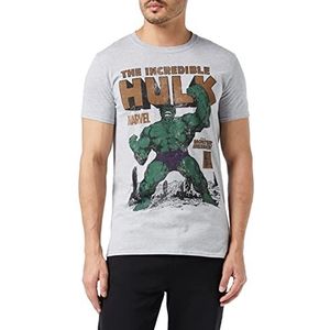 Marvel Hulk Rage T-shirt voor heren, Grijs (Grijs Marl Spo), M